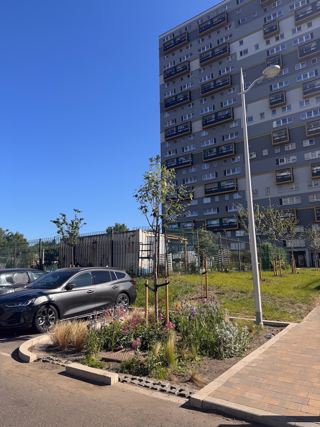 Woodside Making Places Raingarden 2by RaeburnFarquharBowen